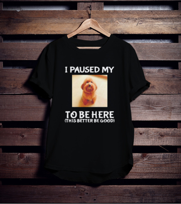 I Paused My Dog To Be Here This Better Be Good T-Shirt