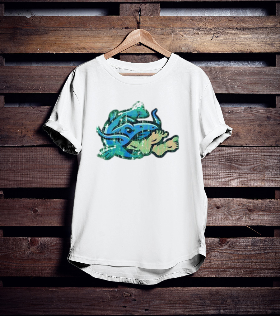 Noodlers Distressed Swimming Meme T-Shirt