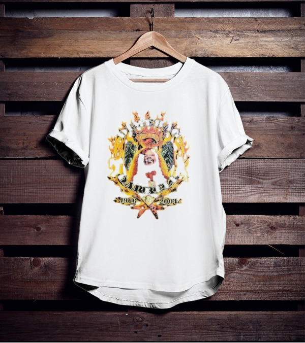 Dimebag Darrell 1966 2004 Vintage Shine On Flame Skull Crest Memorial T-Shirt