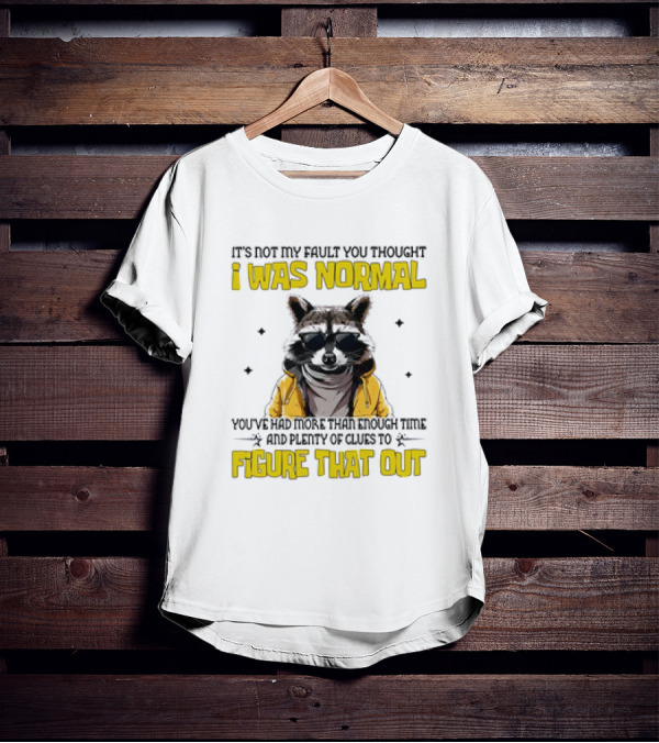 Raccoon It's Not My Fault You Thought I Was Normal You've Had More Than Enough Time And Plenty Of Clues To Figure That Out T-Shirt
