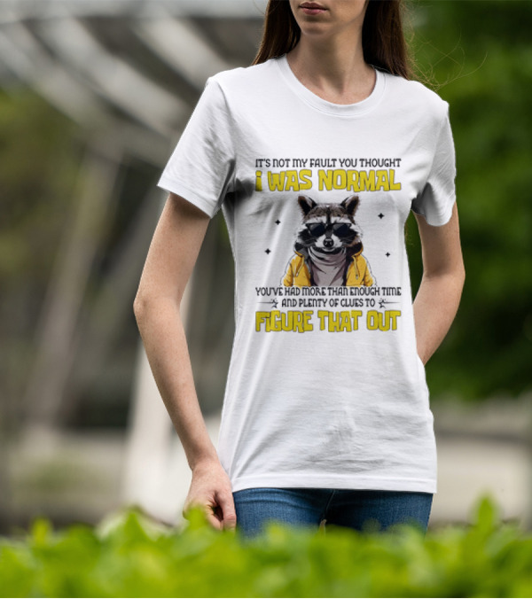 Raccoon It's Not My Fault You Thought I Was Normal You've Had More Than Enough Time And Plenty Of Clues To Figure That Out T-Shirt