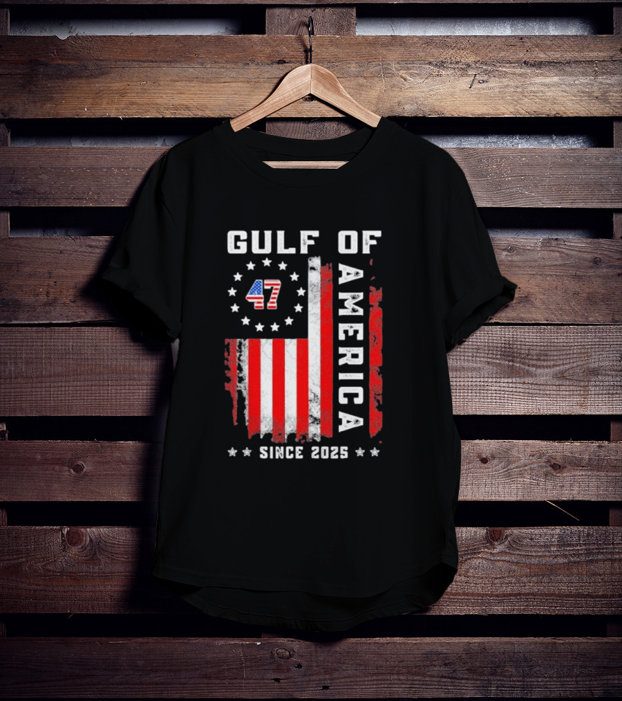 Gulf Of USA America Vintage USA Flag Grunged 2025 T-Shirt