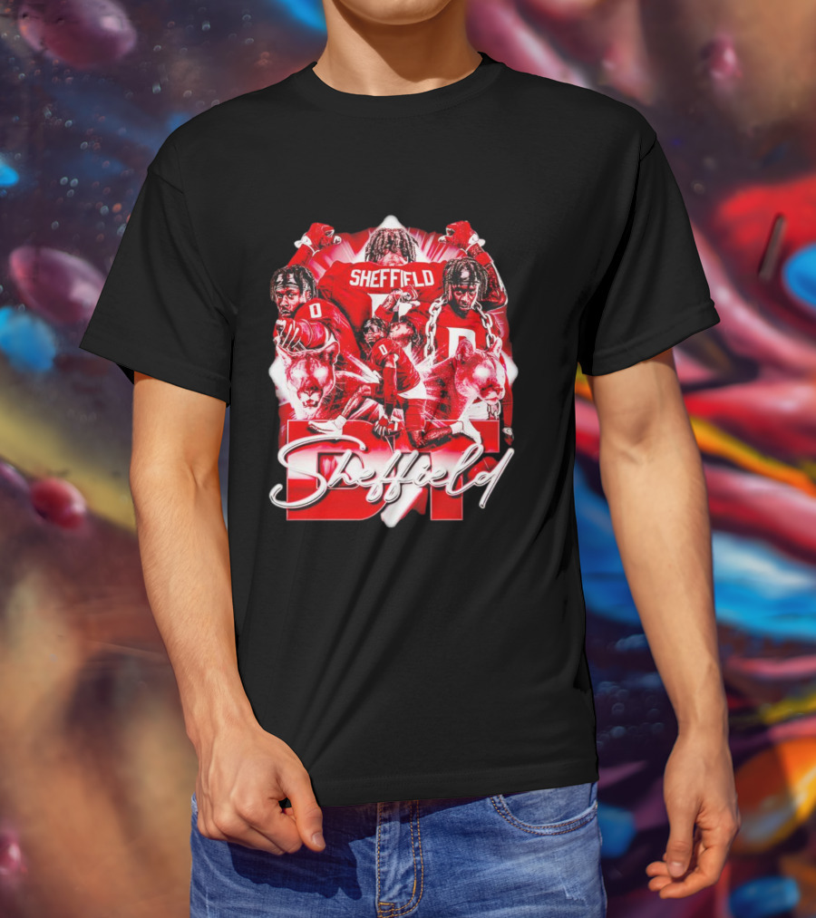 DT Sheffield Washington State Cougars Sheffield Vintage T-Shirt