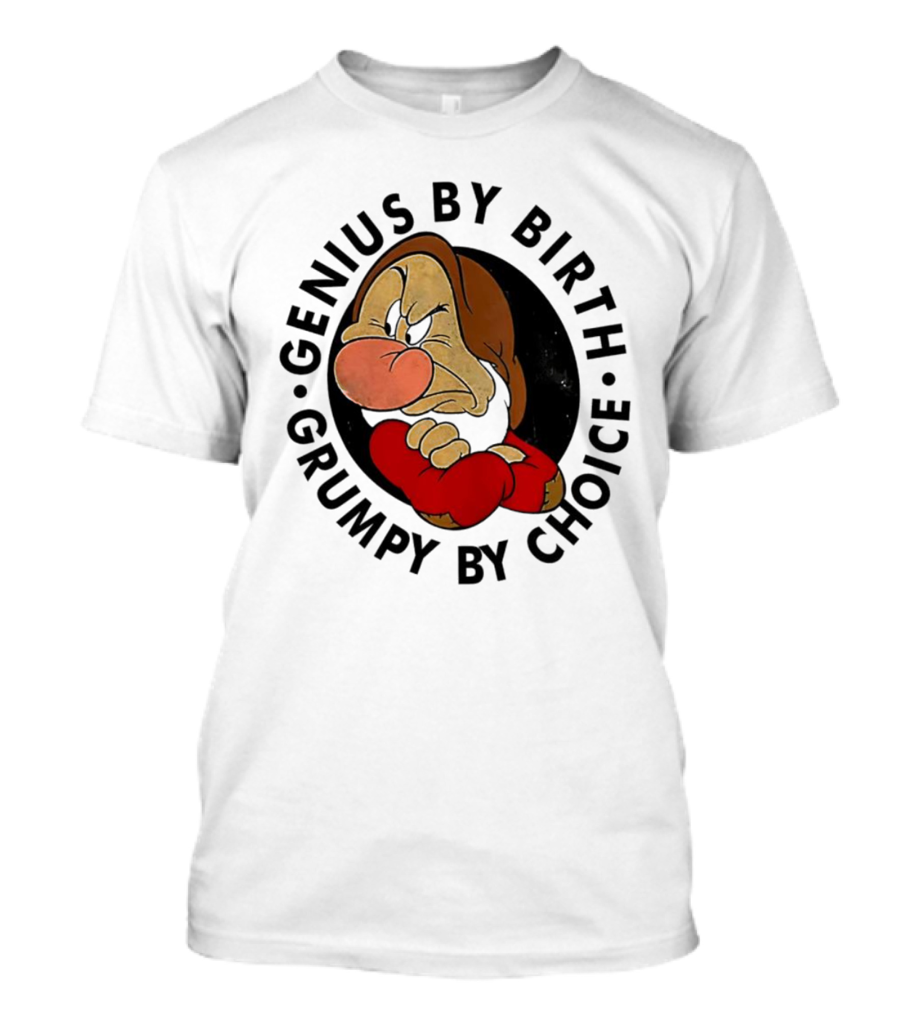 Genius By Birth Grumpy By Choice Character T-Shirt