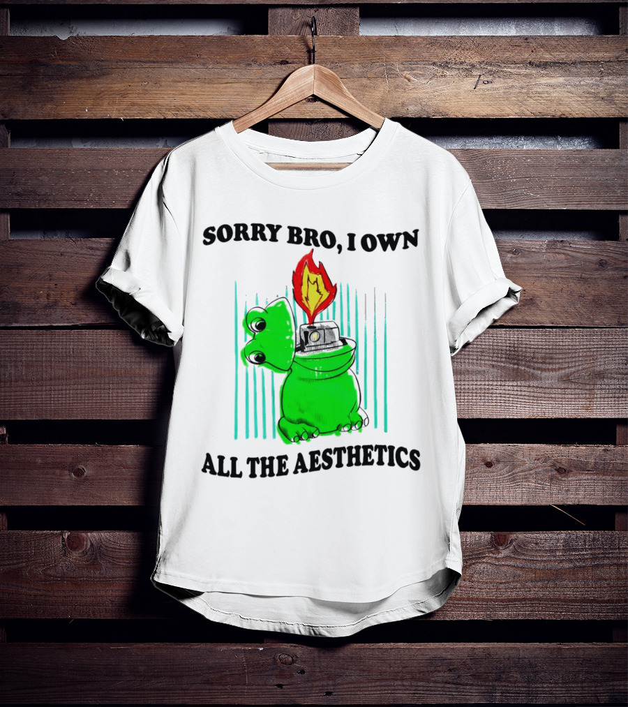 Sorry Bro I Own All The Aesthetics Melting Frog Lighter Flame T-Shirt