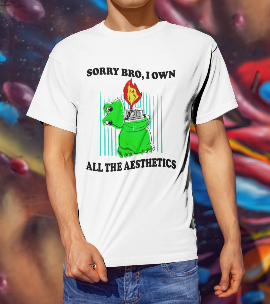 Sorry Bro I Own All The Aesthetics Melting Frog Lighter Flame T-Shirt