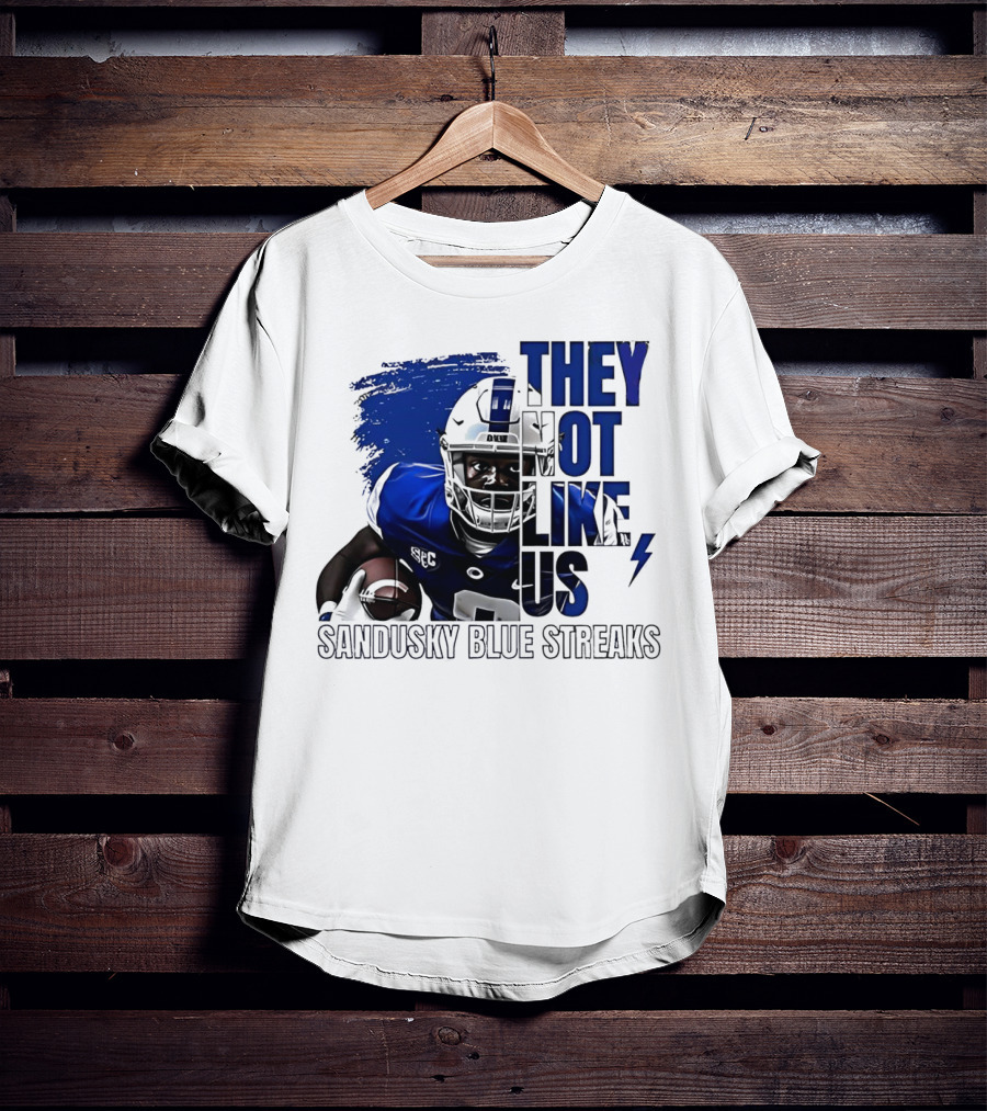 Sandusky Blue Streaks They Not Like Us Football Player Grunge T-Shirt