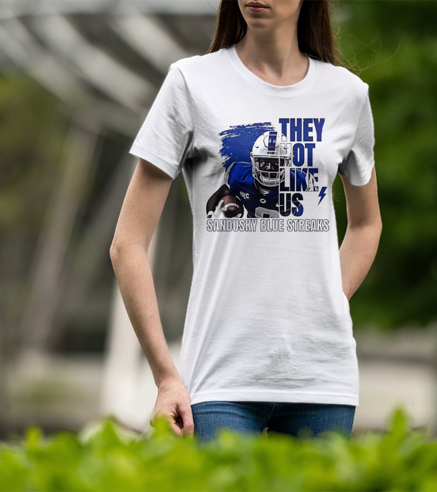 Sandusky Blue Streaks They Not Like Us Football Player Grunge T-Shirt