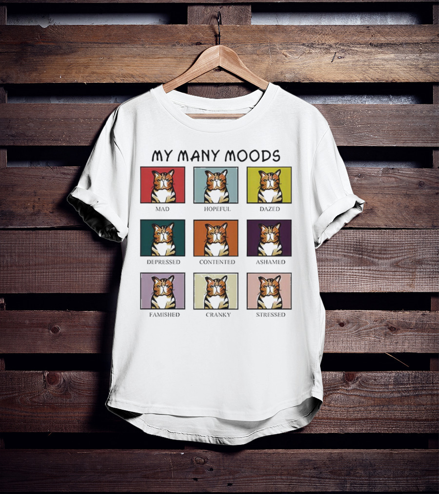 My Many Moods Mad Hopeful Dazed Depressed Contented Ashamed Famished Cranky Stressed T-Shirt