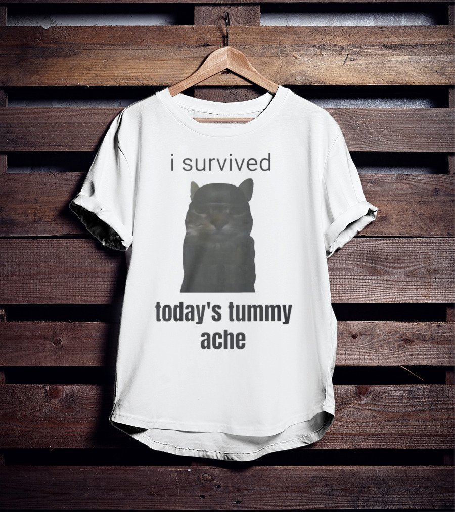 I Survived Today's Tummy Ache Cat Image T-Shirt