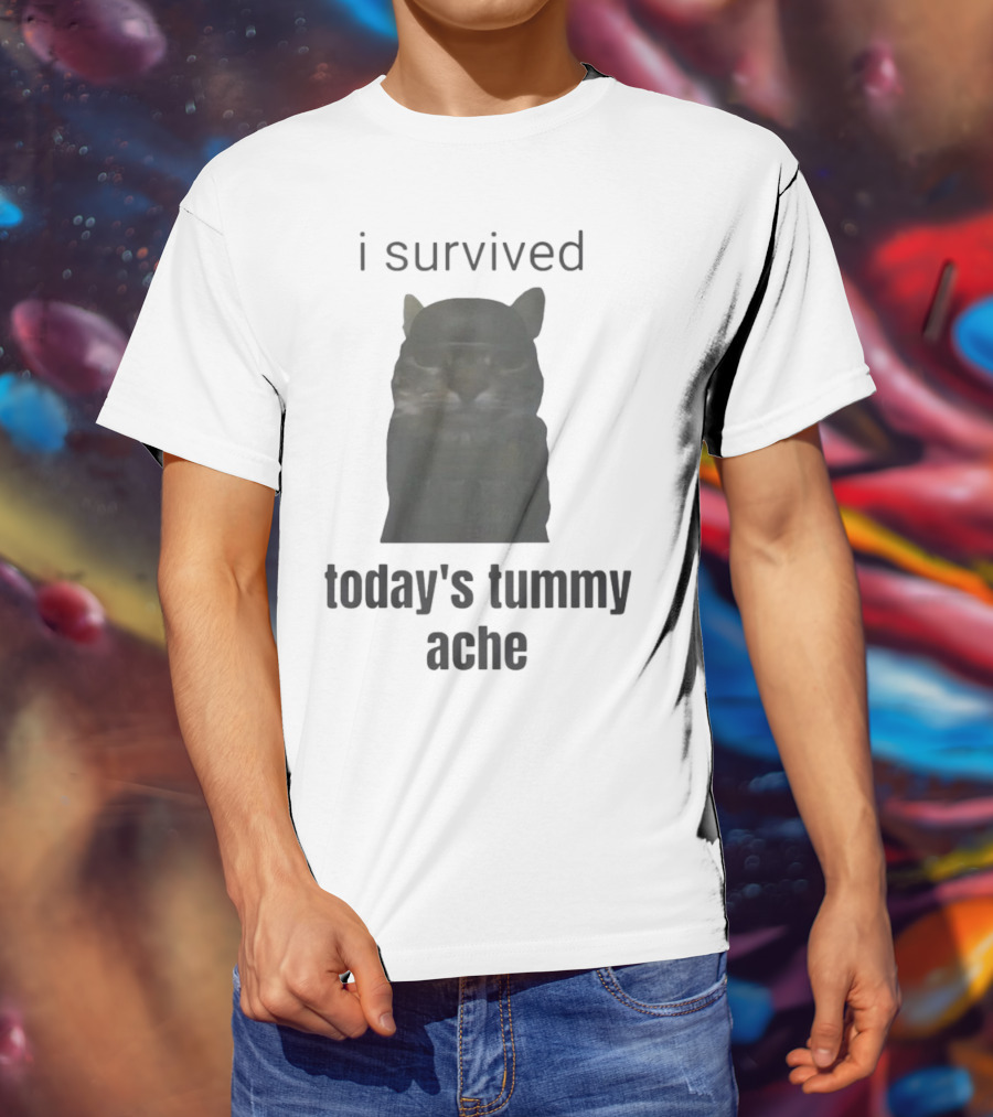 I Survived Today's Tummy Ache Cat Image T-Shirt