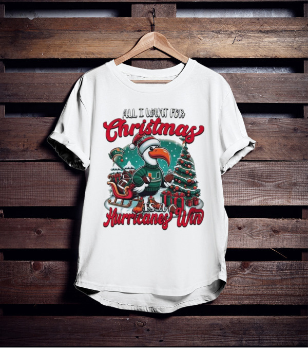 All I Want For Christmas Is A Hurricanes Win Santa Birdfest T-Shirt