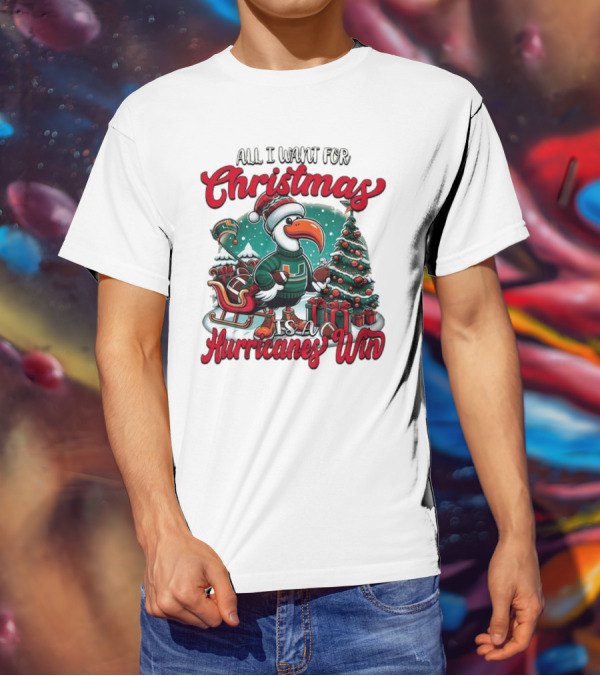All I Want For Christmas Is A Hurricanes Win Santa Birdfest T-Shirt