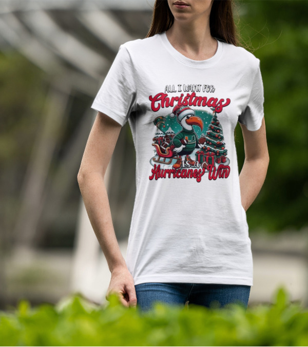 All I Want For Christmas Is A Hurricanes Win Santa Birdfest T-Shirt