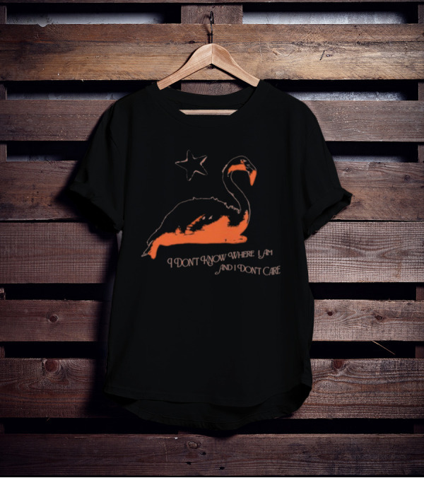 Flamingo I Don’t Know Where I Am And I Don’t Care With Star T-Shirt