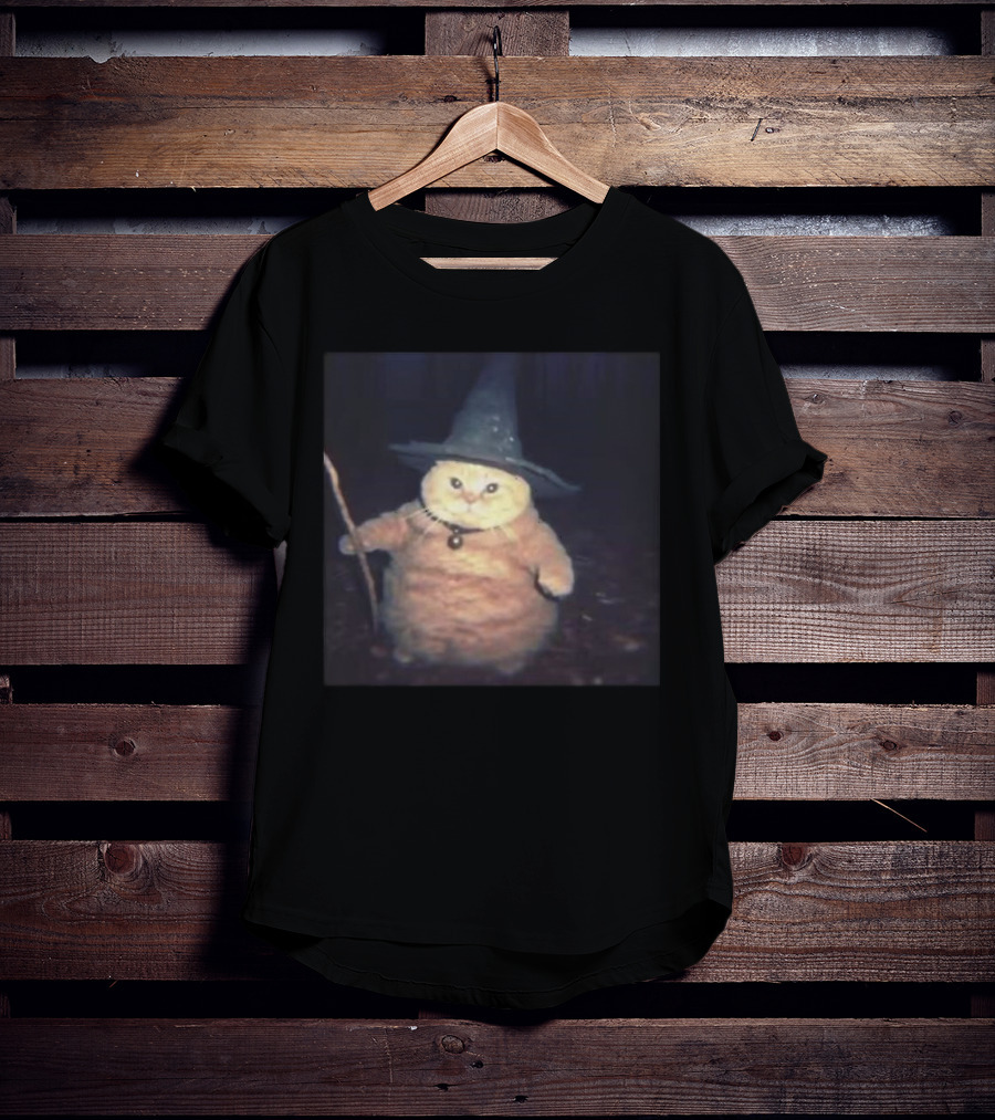 Cheeseball The Wizard Cat Meme Wearing Witch Hat And Holding Wand T-Shirt
