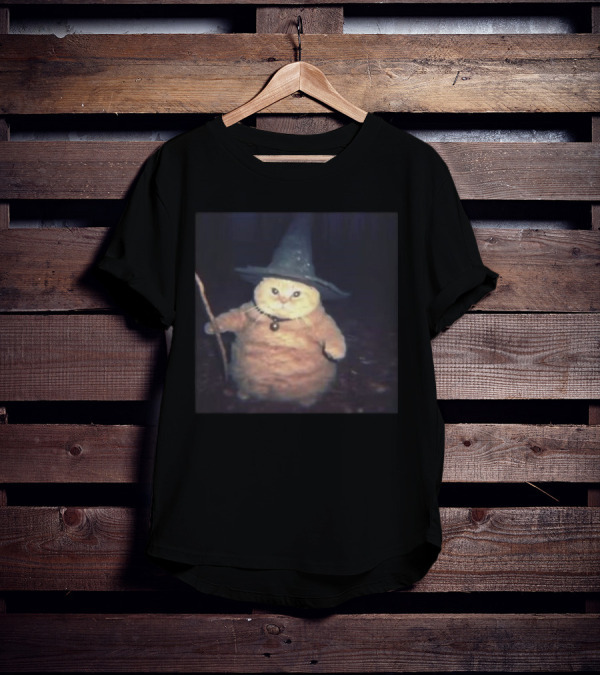 Cheeseball The Wizard Cat Meme Wearing Witch Hat And Holding Wand T-Shirt