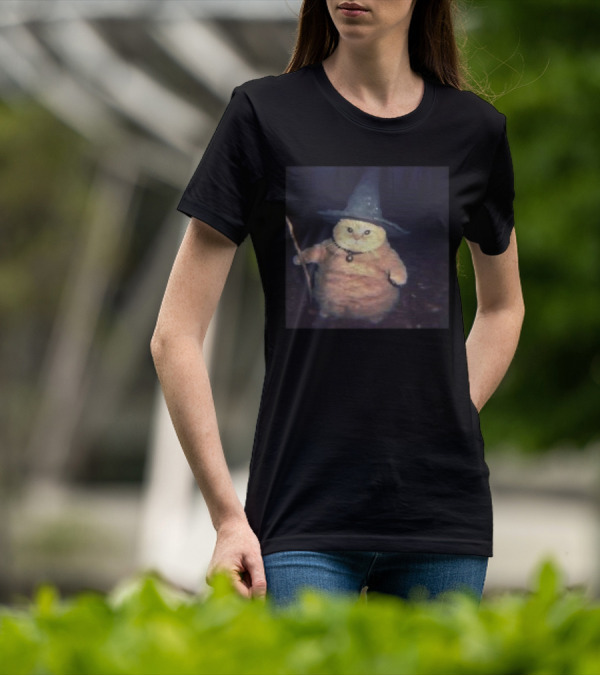 Cheeseball The Wizard Cat Meme Wearing Witch Hat And Holding Wand T-Shirt
