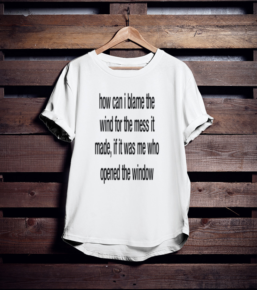 How Can I Blame The Wind For The Mess It Made These Never Needed To Begin With T-Shirt