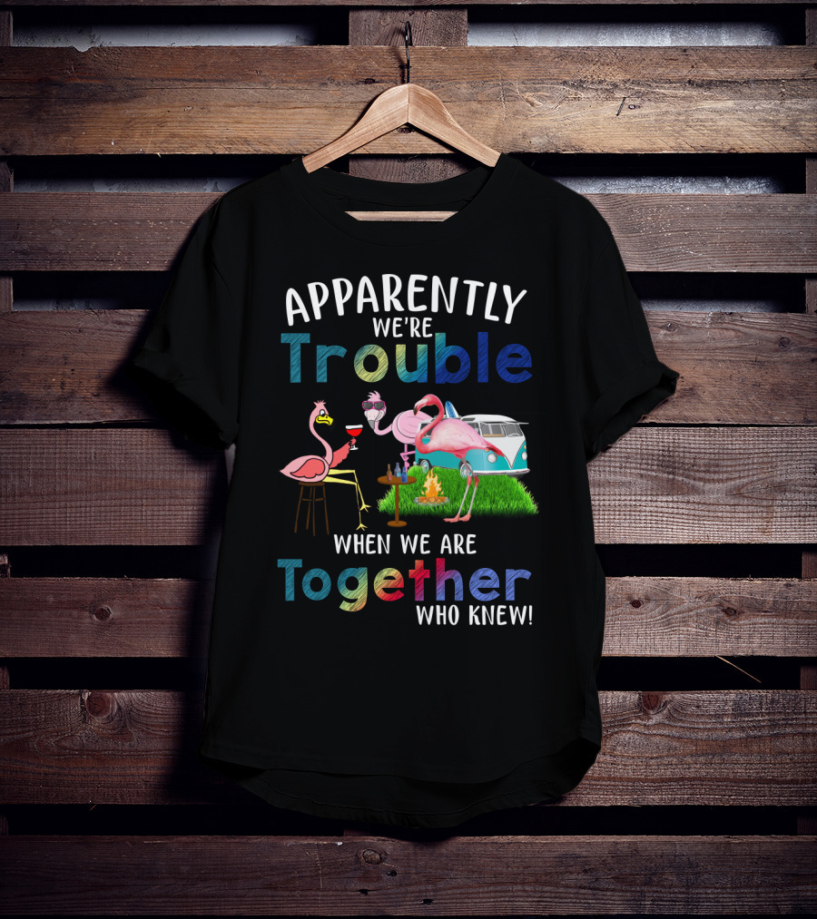 Apparently We're Trouble When We Are Together Flamingos Camping Van Campfire T-Shirt