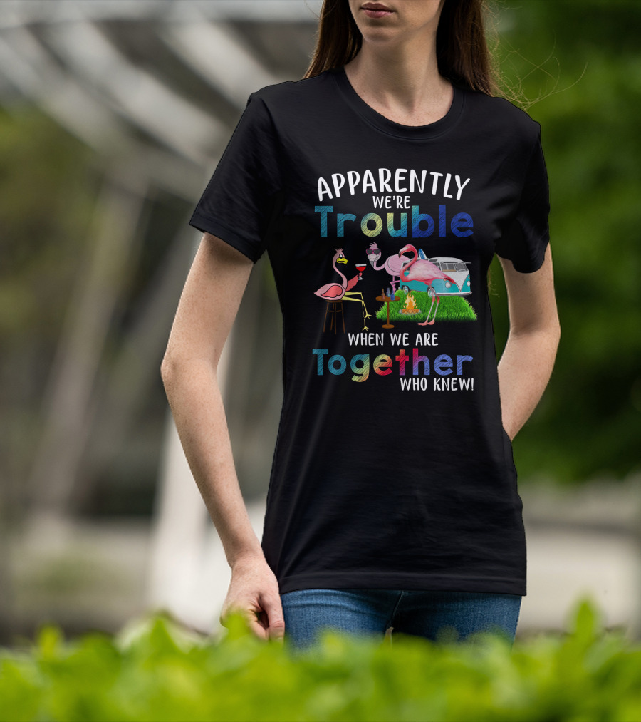 Apparently We're Trouble When We Are Together Flamingos Camping Van Campfire T-Shirt