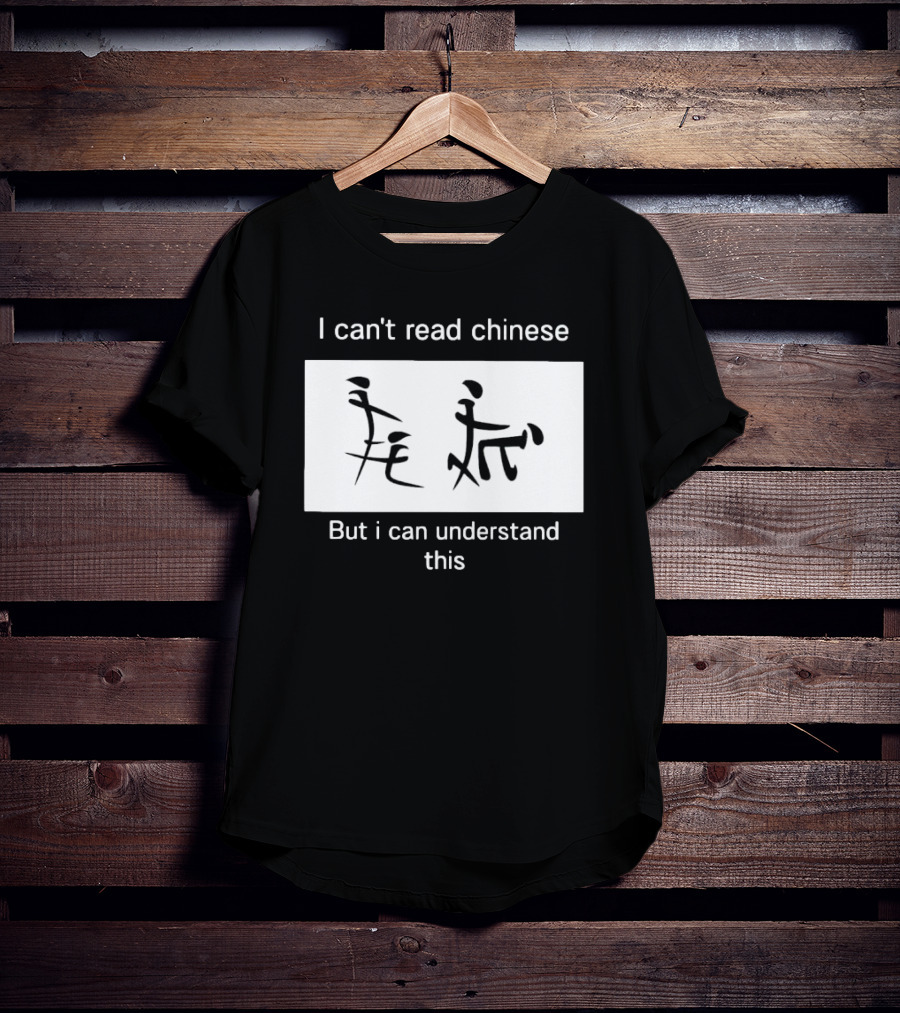 I Can't Read Chinese But I Can Understand This Humorous Pictorial Characters T-Shirt
