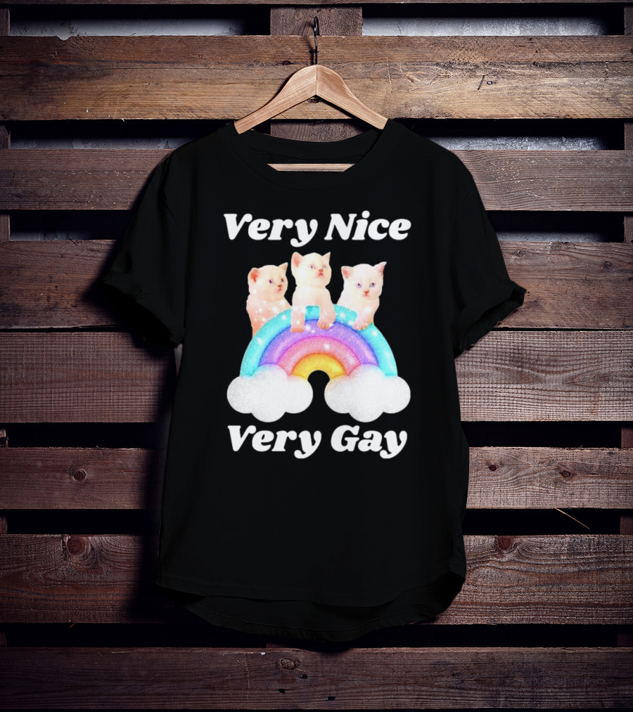 Very Nice Very Gay Cats On Rainbow T-Shirt