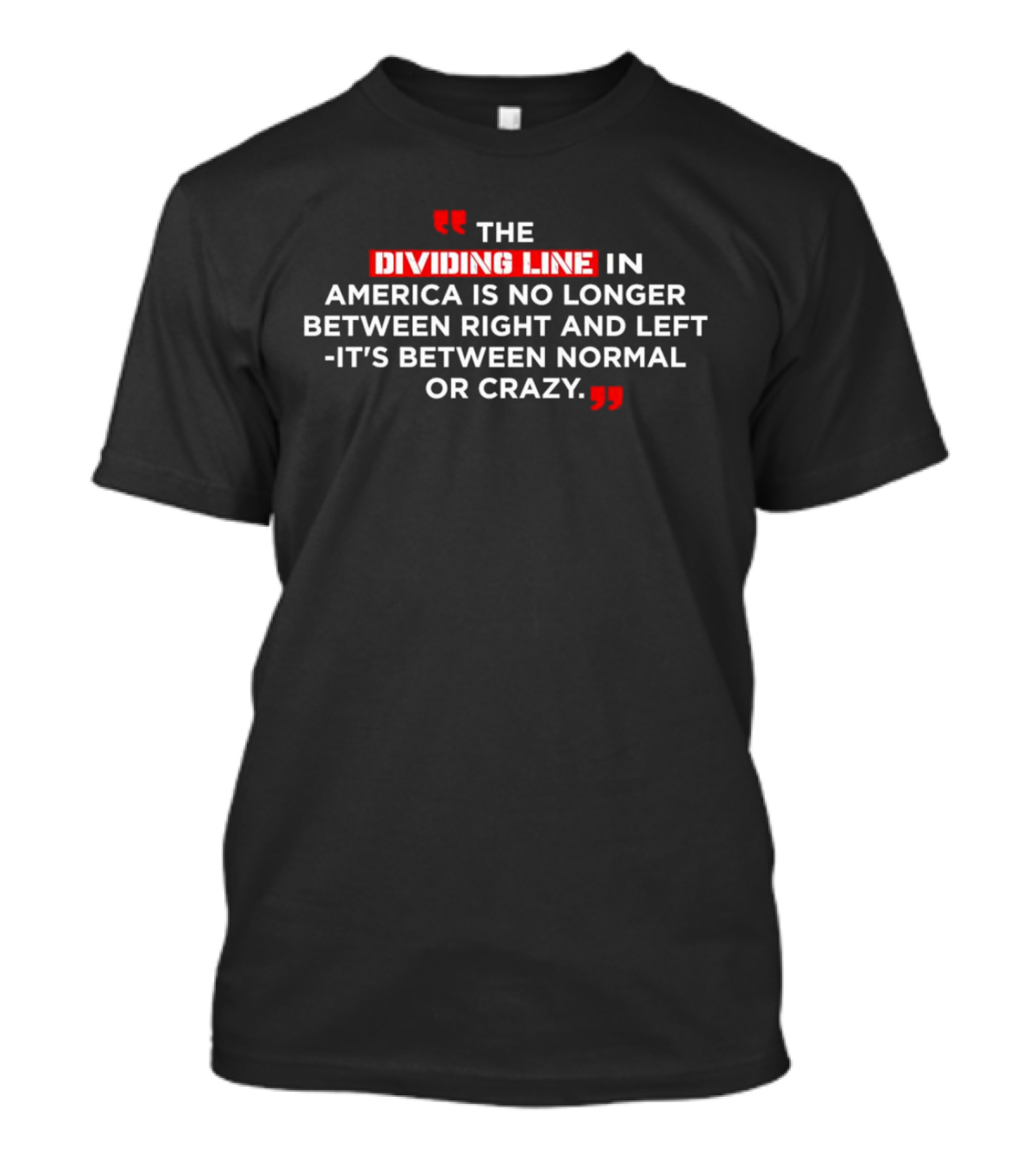 The Dividing Line In America Is No Longer Between Right And Left It's Between Normal Or Crazy T-Shirt