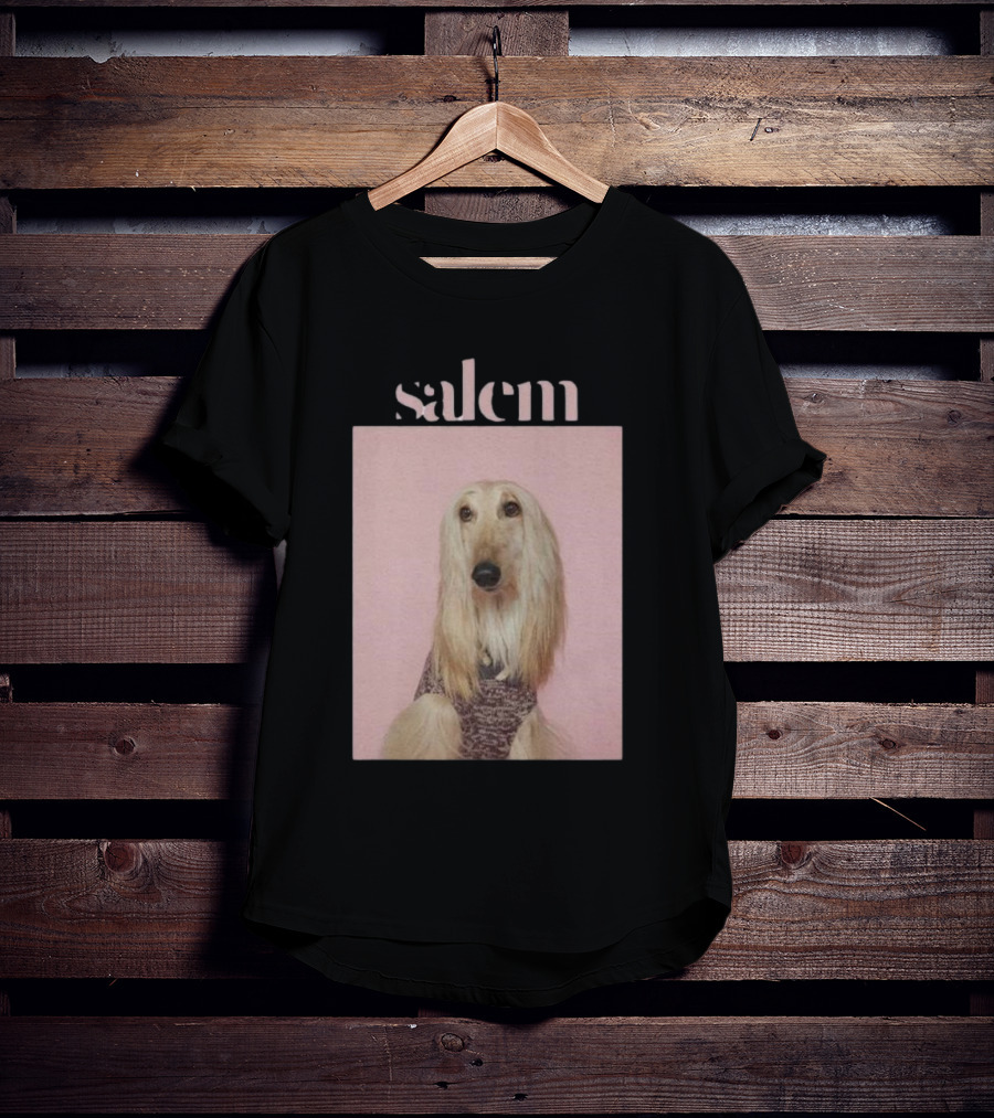 Salem Ilese Dog Afghan Hound Portrait On Pink Background T-Shirt