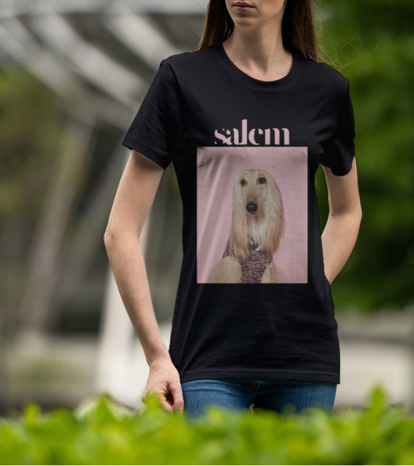 Salem Ilese Dog Afghan Hound Portrait On Pink Background T-Shirt