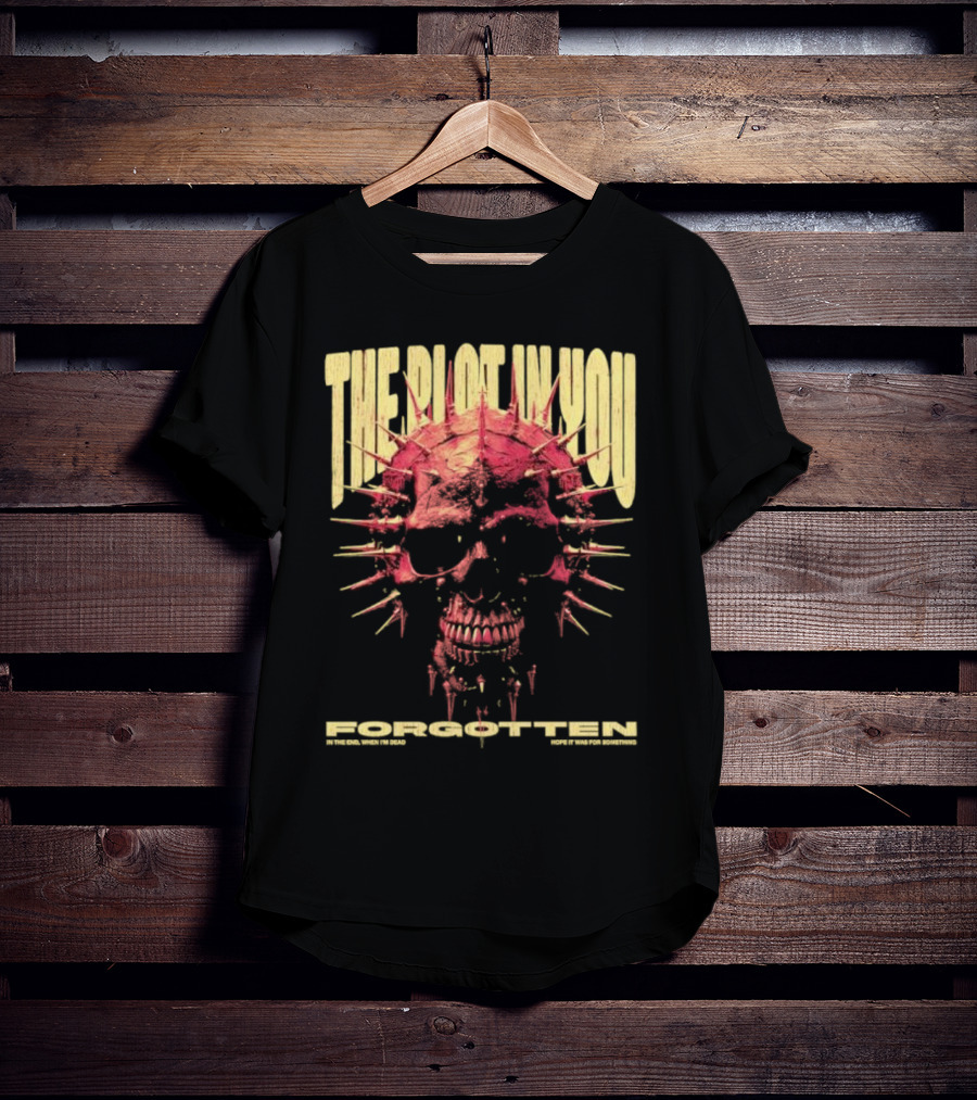 The Plot In You Forgotten Skull Hope It Was For Something T-Shirt