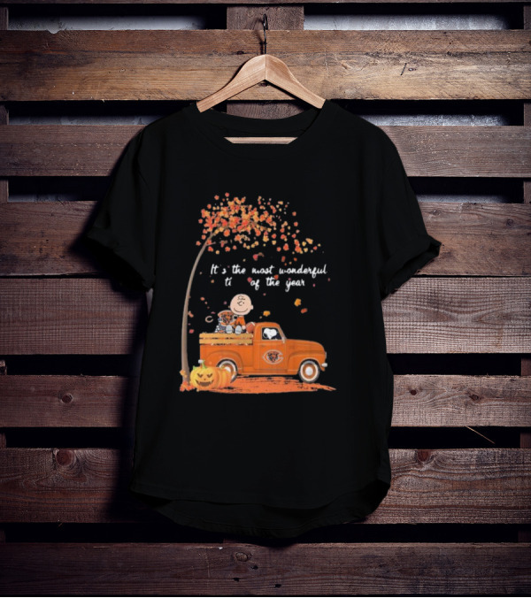 Charlie Brown Snoopy Chicago Bears Wonderful Time Of The Year T-Shirt