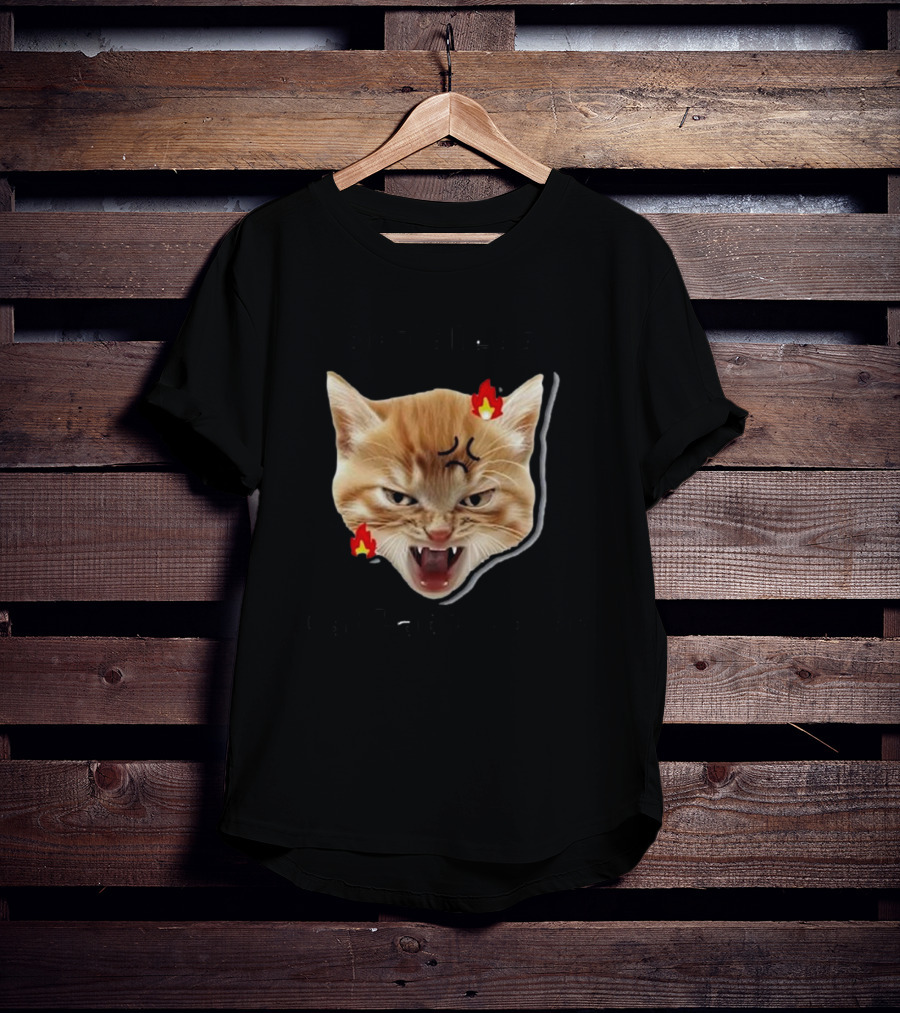 Childless Angry Cat Lady Voter Flame Emoji T-Shirt