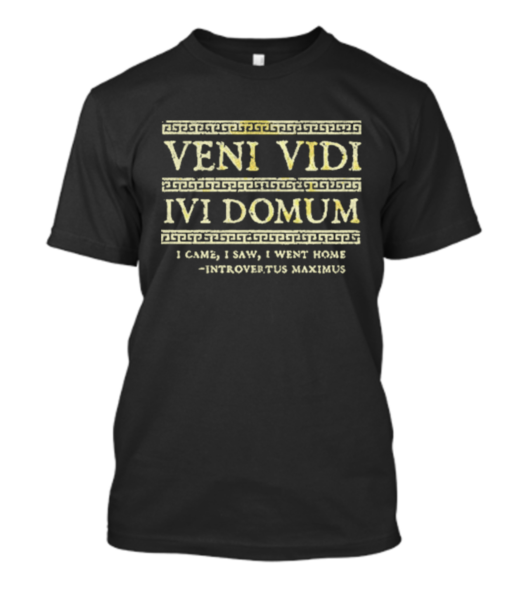 Veni Vidi Ivi Domum I Came I Saw I Went Home Introvertus Maximus Roman Style Humor T-Shirt