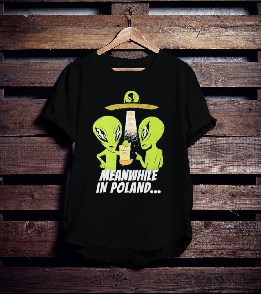 Meanwhile In Poland Alien Abduction Pierogi T-Shirt
