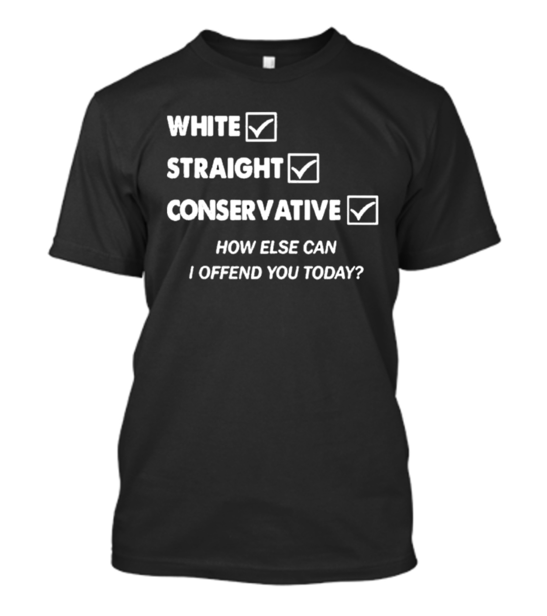 White Straight Conservative How Else Can I Offend You Today T-Shirt