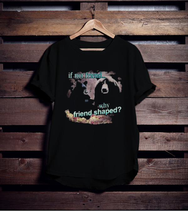 If Not Friend Why Friend Shaped Bear T-Shirt