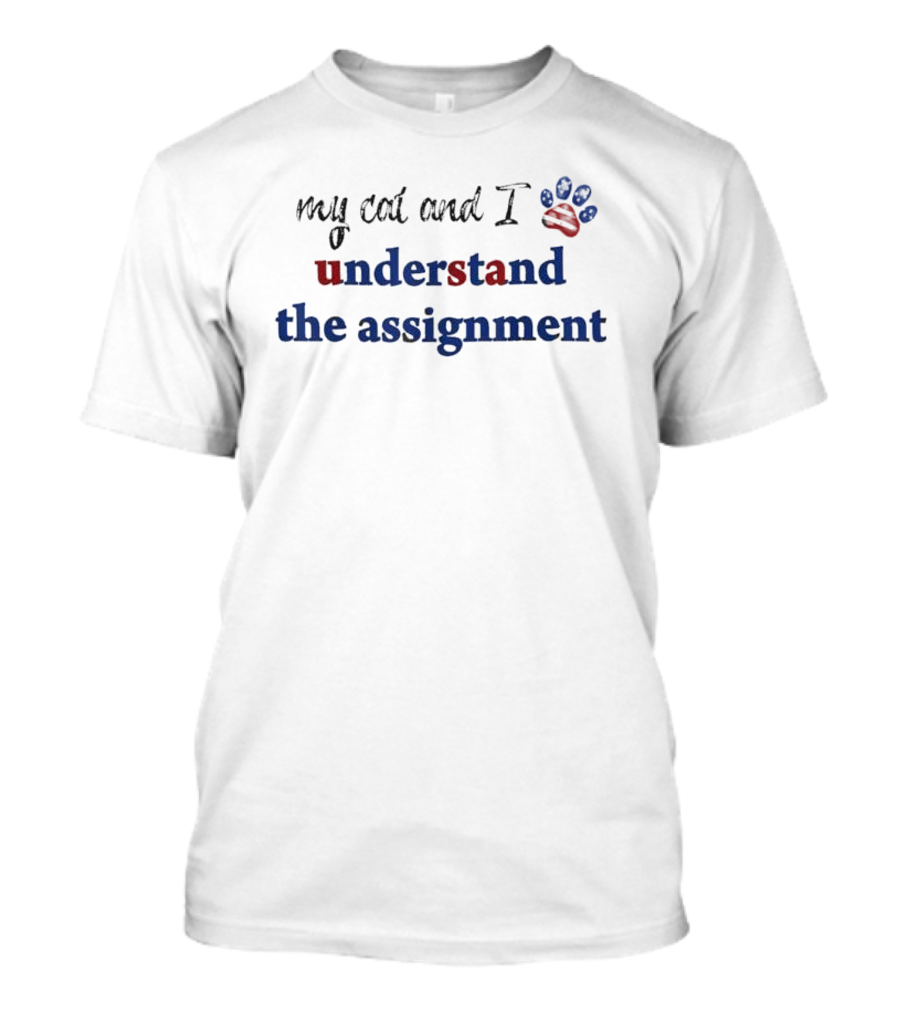 My Cat And I Understand The Assignment American Flag Paw Prints T-Shirt