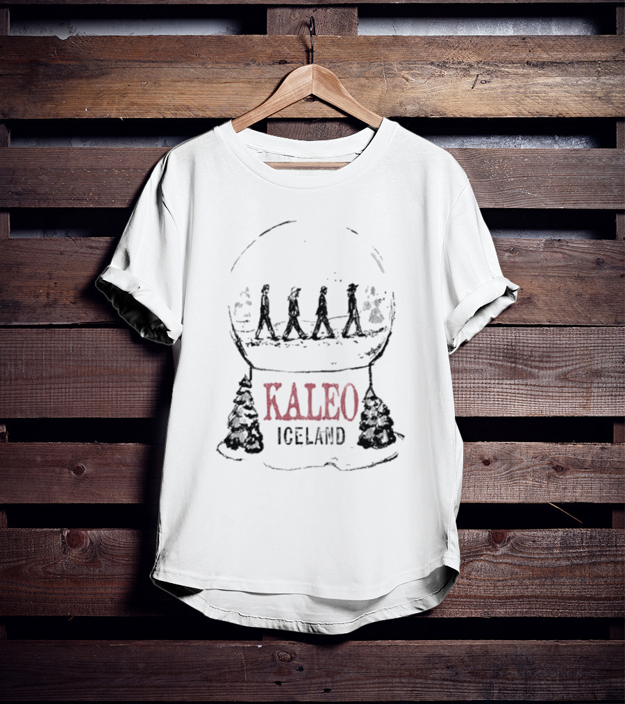 Kaleo Iceland Abbey Road Inspired Snow Globe T-Shirt