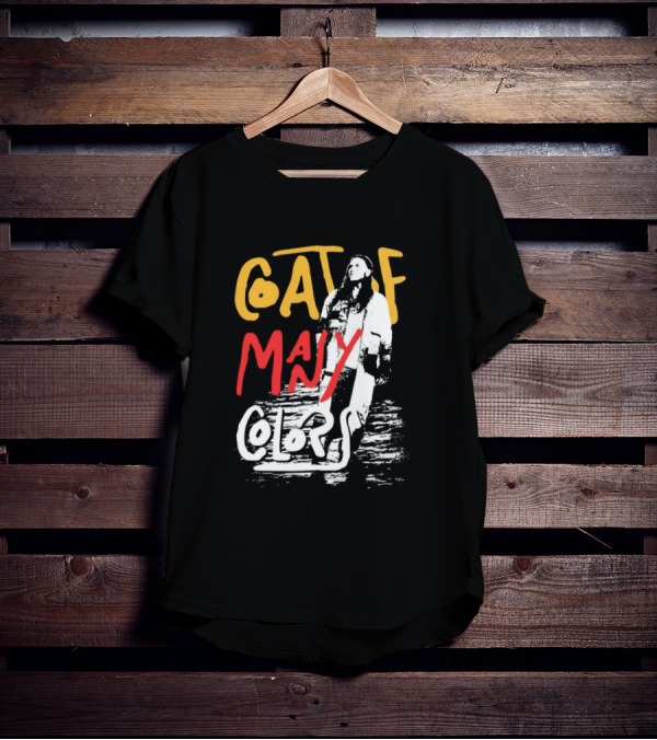 Brandon Lake Coat Of Many Colors T-Shirt