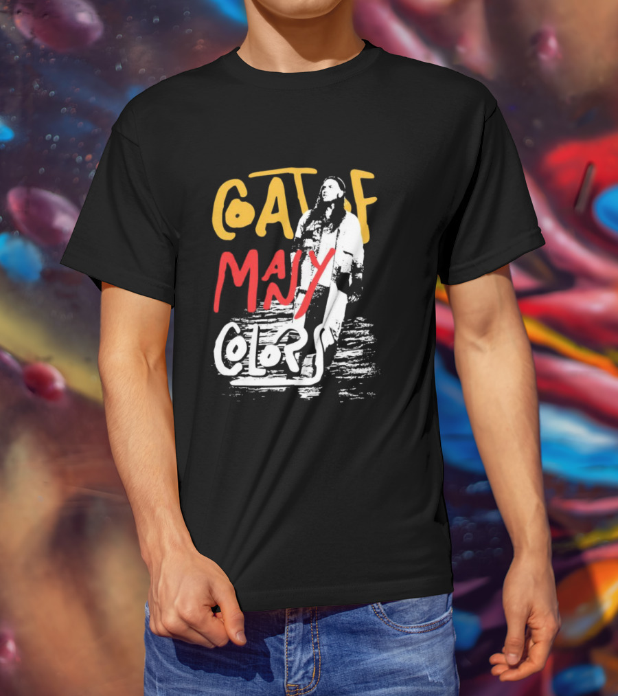 Brandon Lake Coat Of Many Colors T-Shirt