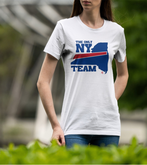 The Only NY Team New York State Silhouette Red Stripe T-Shirt