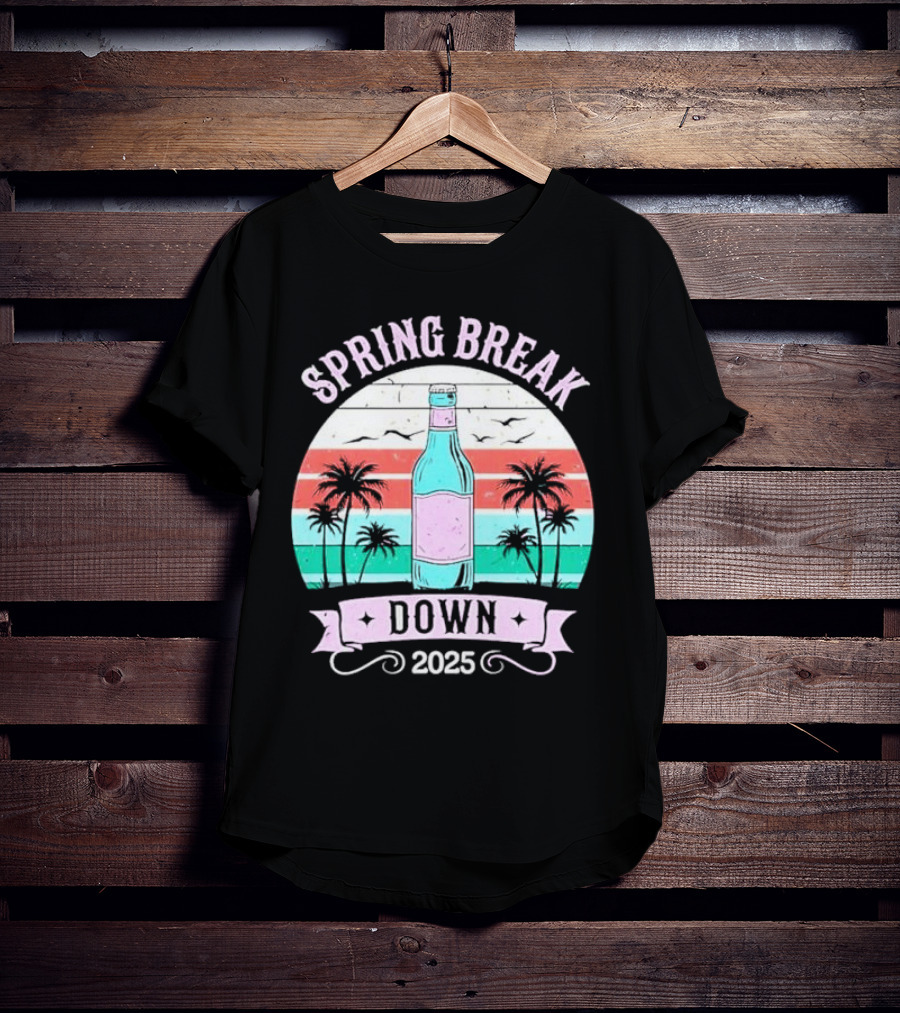 Spring Break Down 2025 Bottle Palms Retro Stripes Vintage Vibe T-Shirt