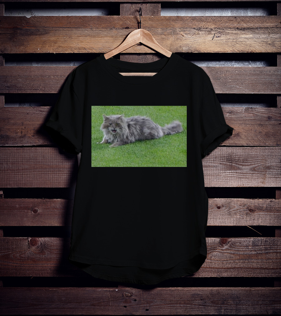 Cat Stops Play At Los Angeles Dodgers Stadium Event T-Shirt
