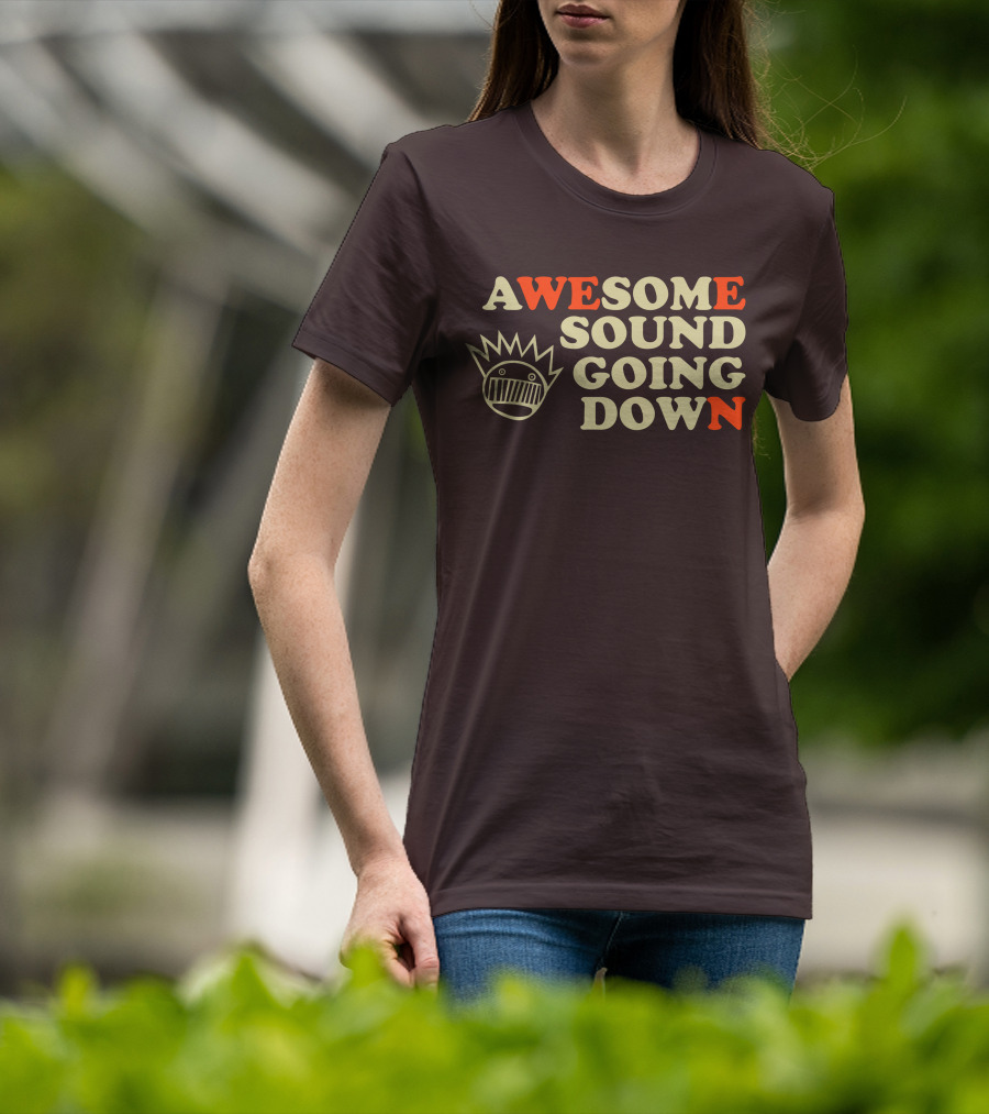 Awesome Sound Going Down Ween Boognish T-Shirt
