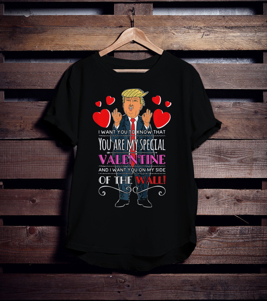 You Are My Special Valentine And I Want You On My Side Of The Wall T-Shirt