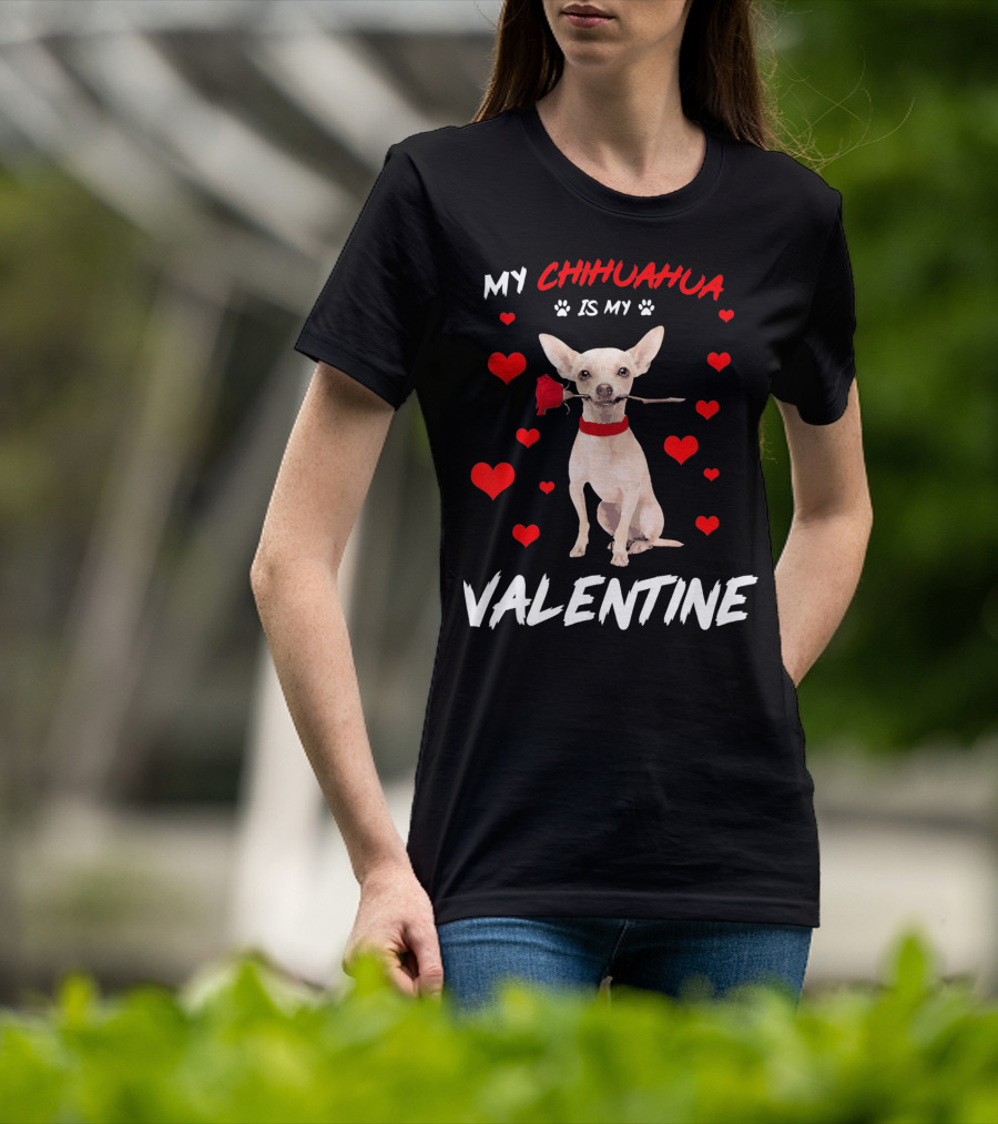 My Chihuahua Is My Valentine Raining Hearts Red Rose T-Shirt