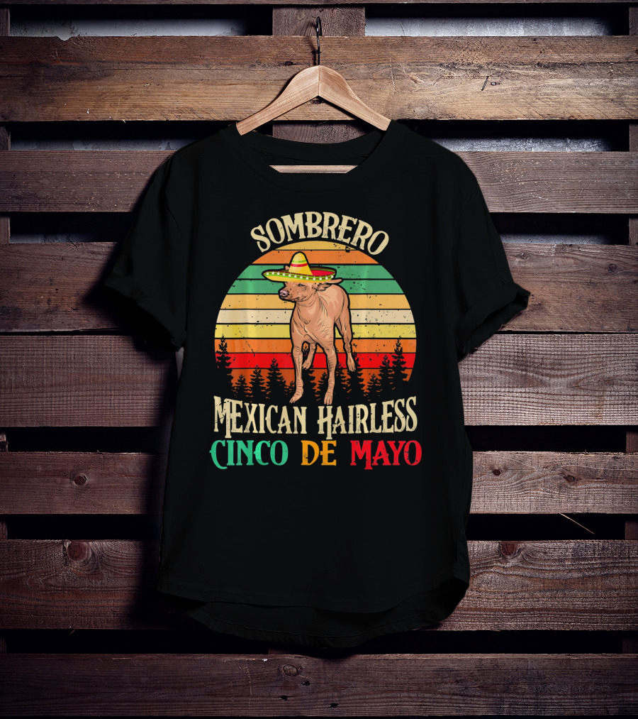 Sombrero Mexican Hairless Cinco De Mayo Vintage Sunset T-Shirt