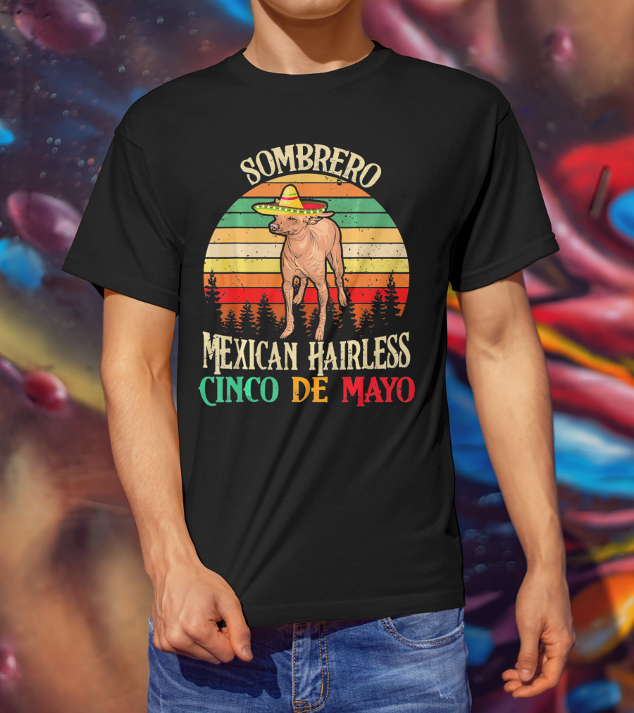 Sombrero Mexican Hairless Cinco De Mayo Vintage Sunset T-Shirt