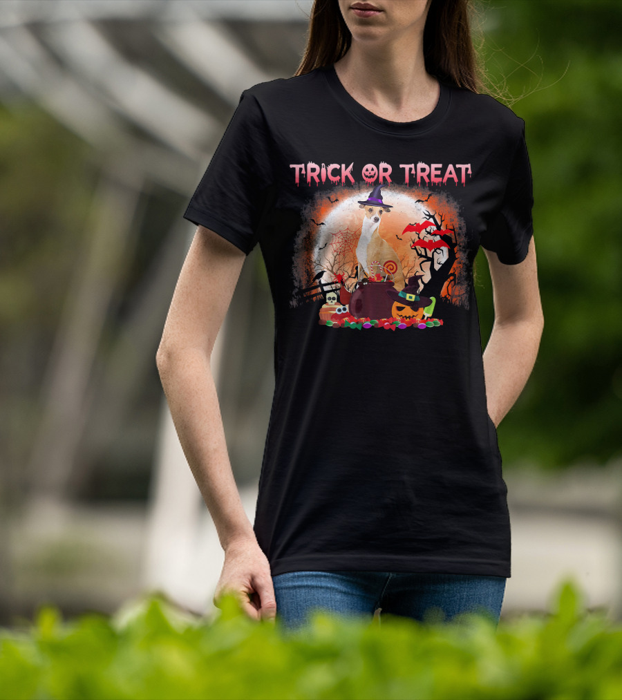 Trick Or Treat Italian Greyhound Halloween Magic Moonlit Scene T-Shirt